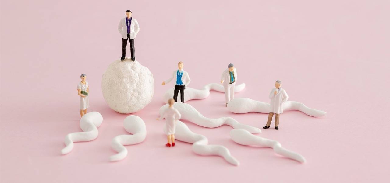 Intrauterine Insemination (IUI) Behandlung & Erfolgschancen FERTILA